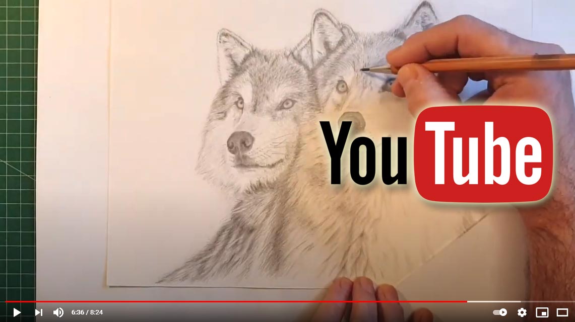images/galerie-zeichnungen/2wolves-youtube-vorschaulink.jpg